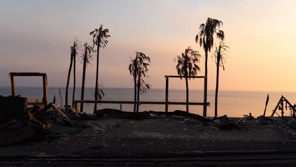 Jamie Lee Curtis donates M, celebs flee homes Jamie Lee Curtis donates M, celebs flee homes