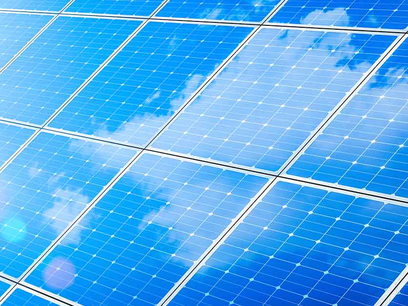 Weizmann Institute of Science Moves to 100% Green Electricity – On Campus | Weizmann Wonder Wander