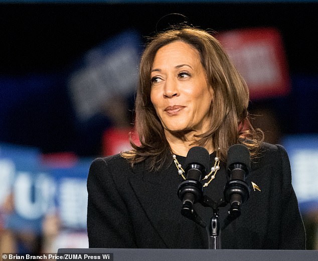 Inside secret Democrat ‘death pool’ talks in early 2023 to prepare in case Biden DIED in office Inside secret Democrat ‘death pool’ talks in early 2023 to prepare in case Biden DIED in office