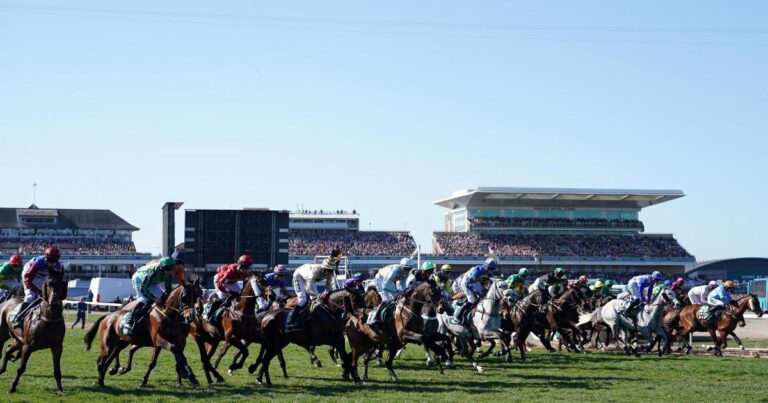 World Horse Welfare ‘deeply saddened’ by death of Celebre d’Allen